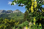 Anello Laghi di Porcile,Passo di Tartano, Cima-Passo di Lemma da Baita del Camoscio (28 giu.2020)- FOTOGALLERY